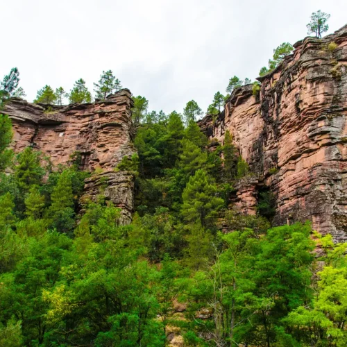 Ruta Interpretada por el Barranco del Arandilla