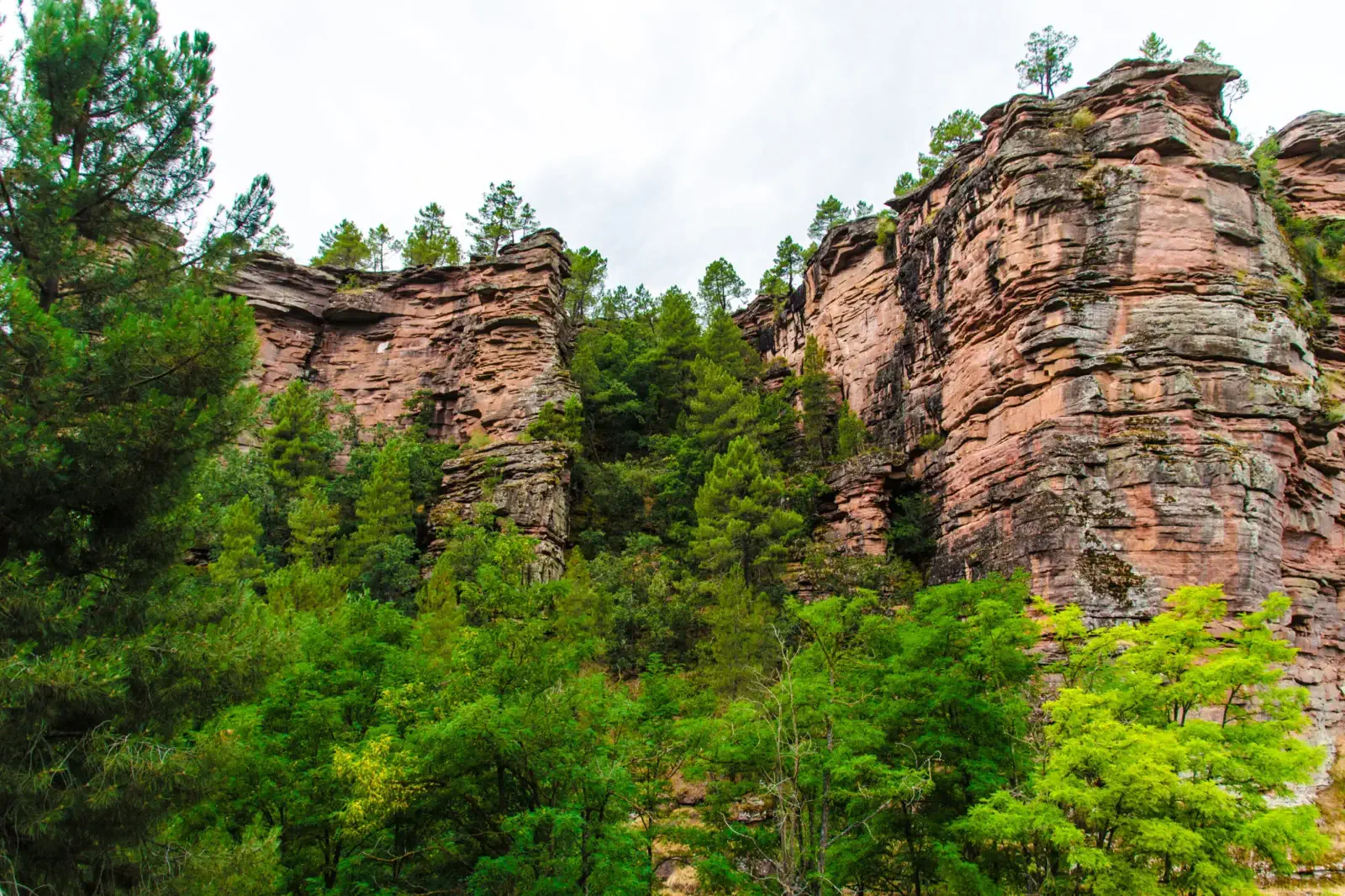 Ruta Interpretada por el Barranco del Arandilla