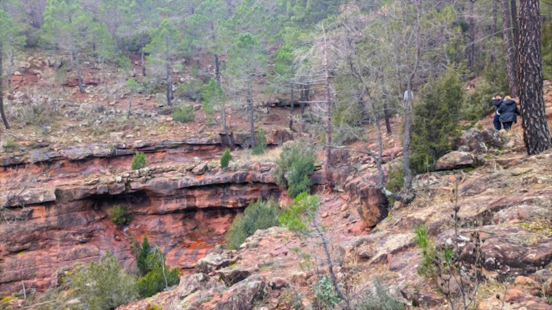 Salida al Campo: Descubre el Alto Tajo