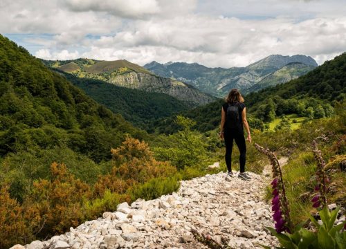 Comprendiendo el Ecoturismo