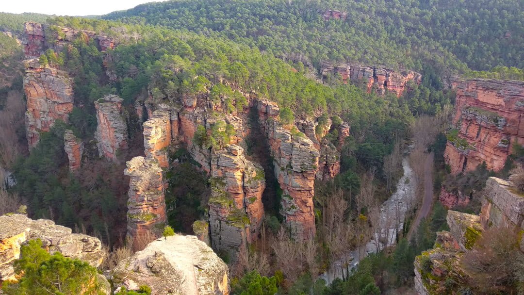 Ruta Interpretada por el Barranco de la Hoz