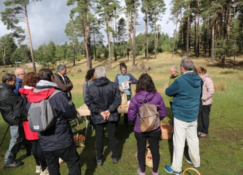 Actividades Micológicas para Asociaciones, Ayuntamientos y Grupos