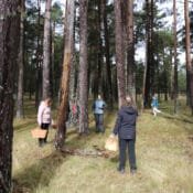 salida micológica setas de primavera