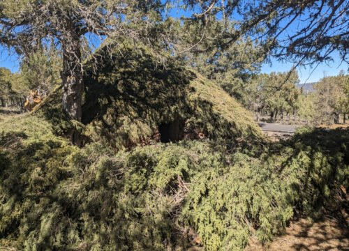 Chozones Sabineros: Un viaje al corazón del Alto Tajo