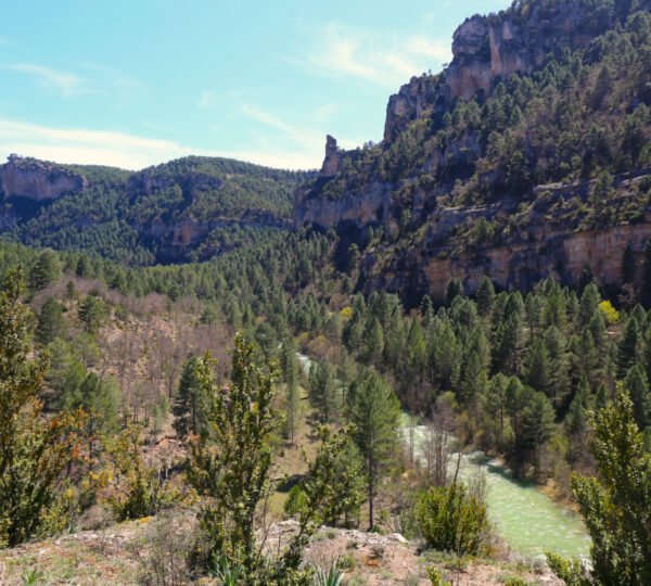 Escapada al Cañón del Tajo: naturaleza intacta y paisajes de vértigo
