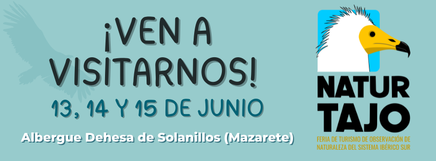 Portada de Facebook Agencia de Viajes Mosaico Azul