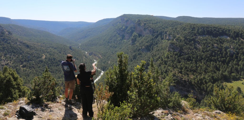 mirador-alimoches-2