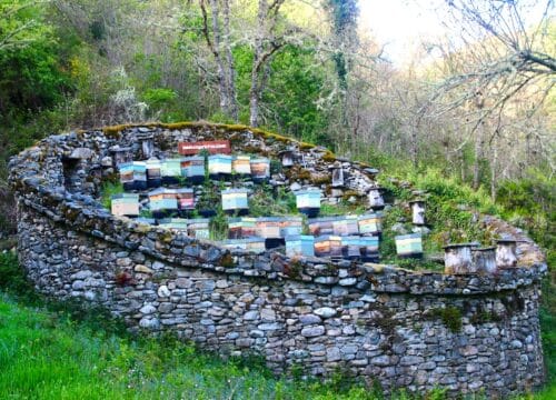 El Cortín: La Fortaleza de Piedra que Protegía la Miel de la Serranía del Oso