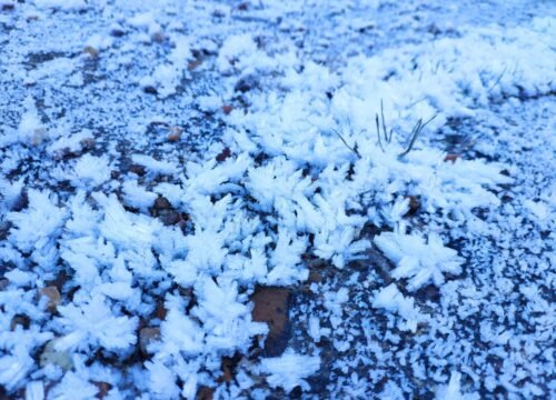 La Magia Blanca: Descubre Cómo la Nieve Transforma Nuestros Paisajes