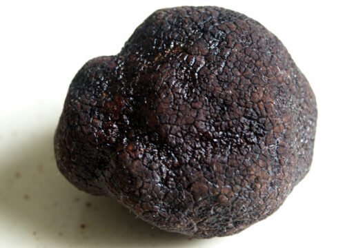 El Tesoro Negro de la Sierra: Guía para Entender y Disfrutar de la Trufa