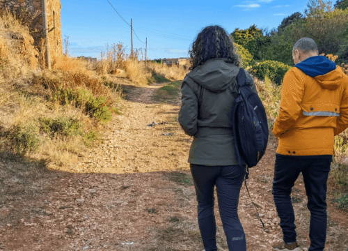 Tour privado por el Alto Tajo: te recogemos en tu alojamiento
